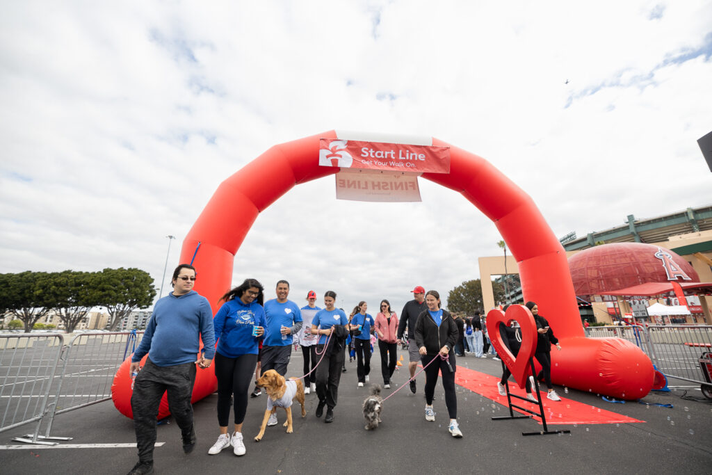 A group of people with dogs walk under a red inflatable arch marked "Start Line" in an outdoor event. The sky is cloudy, and some participants wear blue shirts. The area is fenced, and a large red heart decoration is visible.